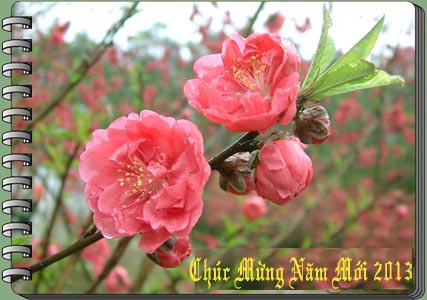 BỘ TRƯỞNG VƯƠNG ĐÌNH HUỆ GỬI THƯ CHÚC MỪNG CÁC THẾ HỆ CÁN BỘ, CÔNG CHỨC, VIÊN CHỨC, NGƯỜI LAO ĐỘNG NGÀNH TÀI CHÍNH NHÂN DỊP XUÂN QUÝ TỴ