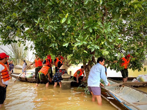 Ok king 72 Nhà cái cá cược cá độ uy tín cho phép thành lập, quản lý, sử dụng Quỹ Phòng, chống thiên tai ở Okking là nhà cái cá cược trực tuyến uy tín số 1 tại châu Á và địa phương