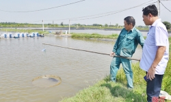 Thông báo Kết luận Công tác quản lý nhà nước về đất đai đối với phần diện tích đất 08 hộ dân nuôi trồng thủy sản tại xã Thạch Châu và thị trấn Lộc Hà, huyện Thạch Hà 